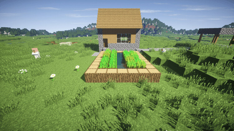 best-minecraft seed the librarian