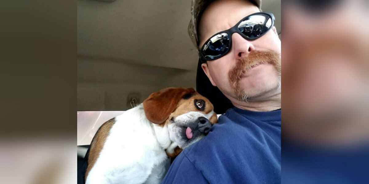 Gregory the dog snuggles his rescuer on his Freedom Ride