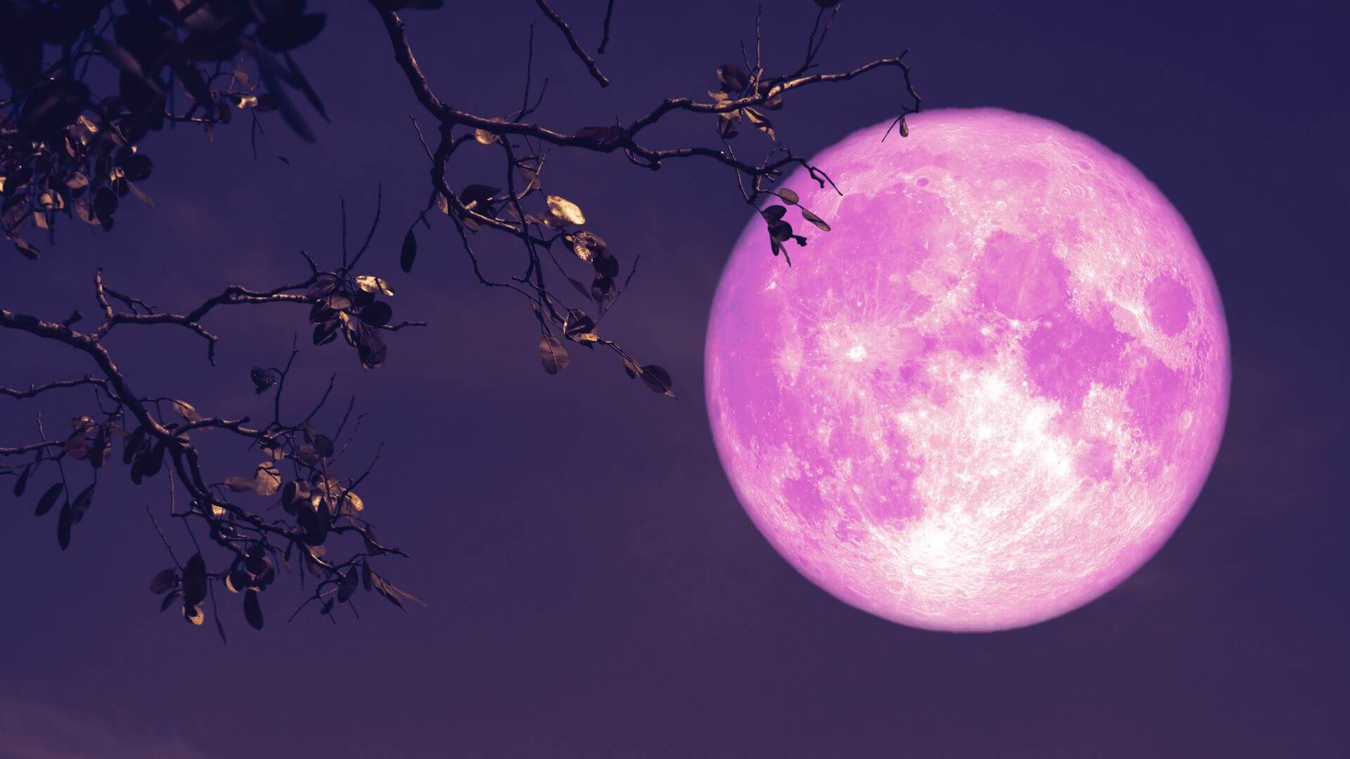 June's Full Strawberry Moon