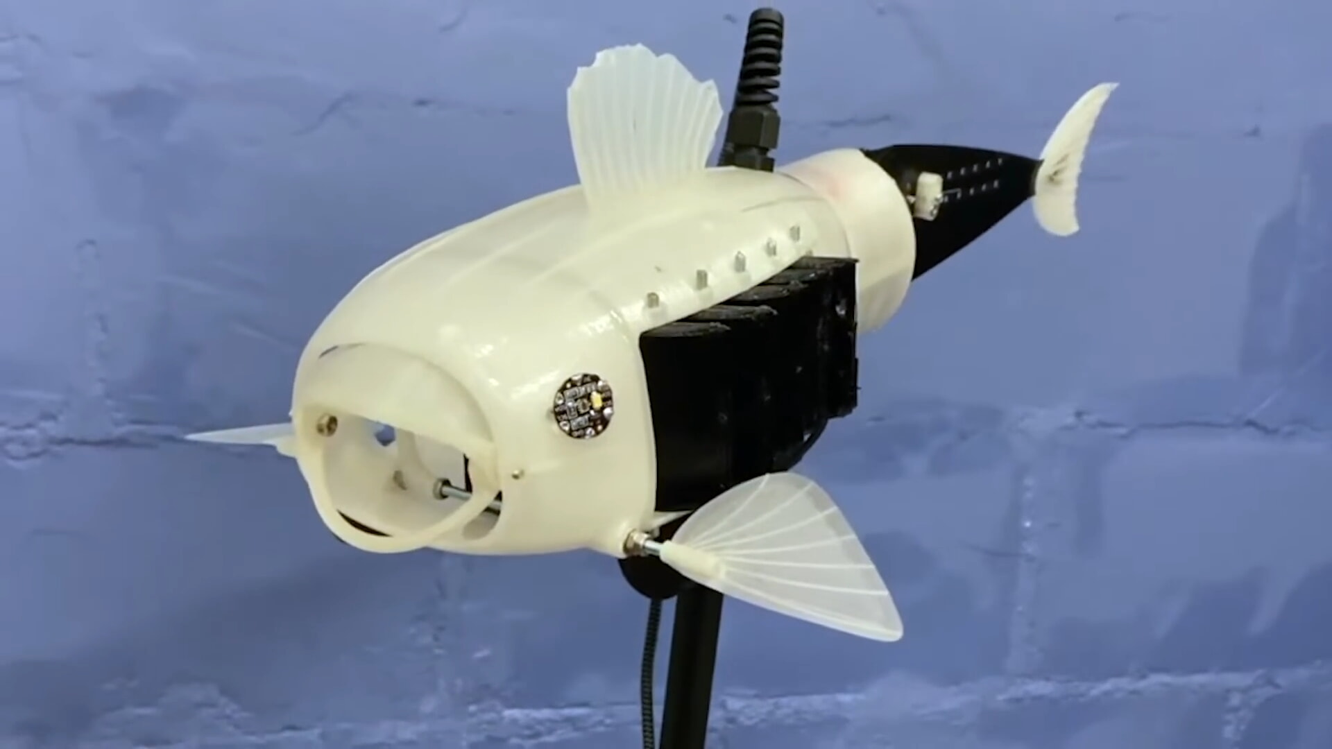 The Natural Robotics Contest 2022 Winner 'Gillbert'